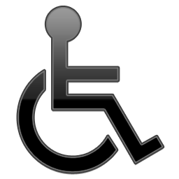 Regular Symbol Handicap Black Icon 256x256 png
